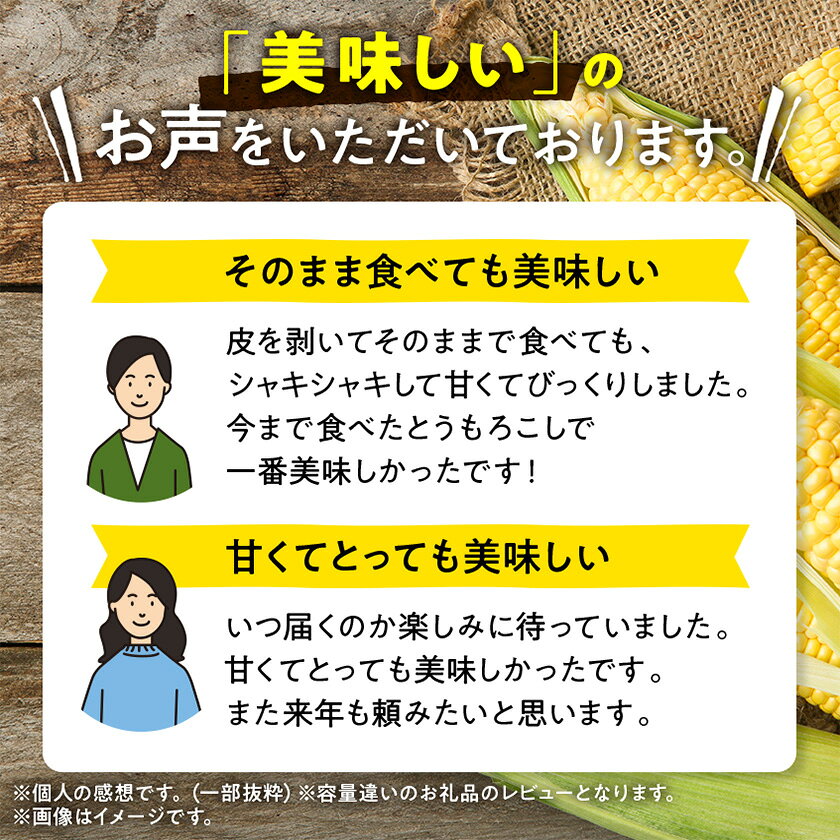 【ふるさと納税】【先行予約】朝採れ八ヶ岳生とうもろこし20本【複数個口で配送】【配送不可地域：離島】【4075635】