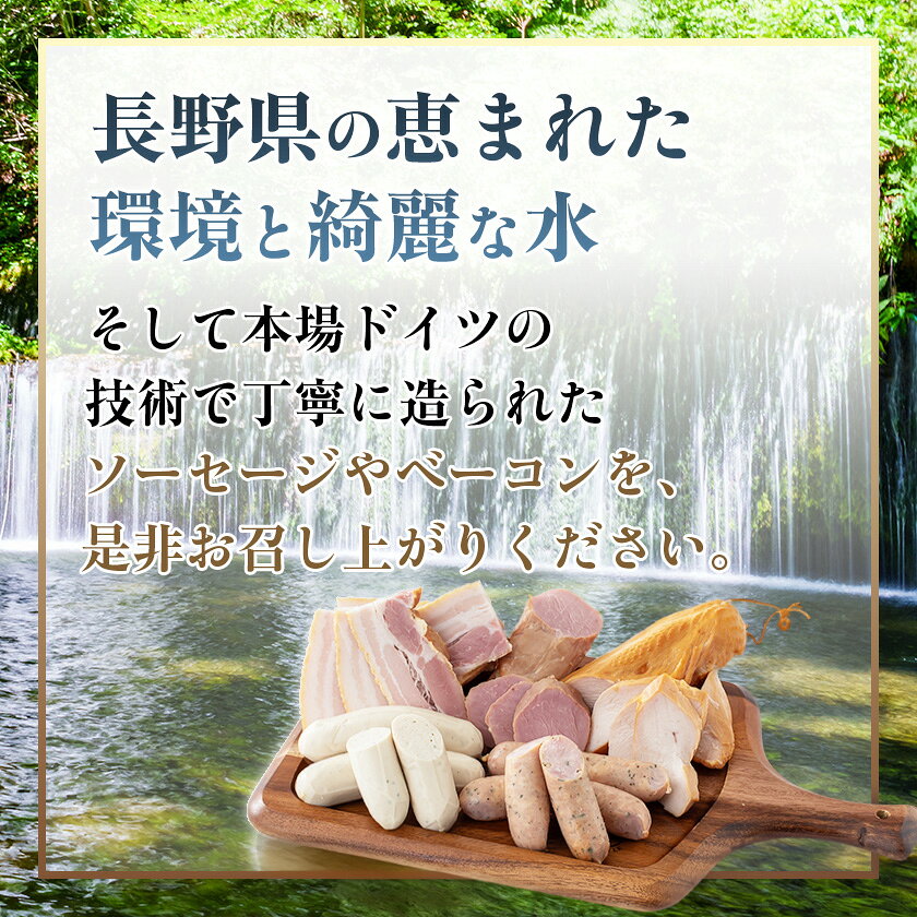 【ふるさと納税】【毎月定期便】ピーターセット　ハム・ソーセージ詰め合わせ全2回【配送不可地域：離島】【4081471】