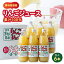 【ふるさと納税】果汁100%りんごジュース 1L×6本【1416317】 17,000円