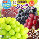 【ふるさと納税】【先行予約】シャインマスカットの入ったお任せブドウセット 約2kg【ご家庭用】 | シャインマスカット お任せ セット ぶどう ご家庭用 長野県...