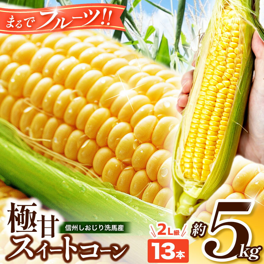 【ふるさと納税】【2025年分先行予約】 極甘スイートコーン 5kg 2L級 13本(高原野菜の名産地 信州しおじり洗馬産)| 野菜 やさい とうもろこし スイートコーン 長野県 塩尻市
