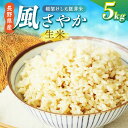 【ふるさと納税】 【先行予約】【風情ある希少品】 風さやか(信州推奨米) 稲架けした胚芽米 5kg 120個限定 2人暮らし:約1ヶ月分 | 米 生米 きまい 胚芽米 信州 塩尻産 2025年米 風さやか 長野県 塩尻市