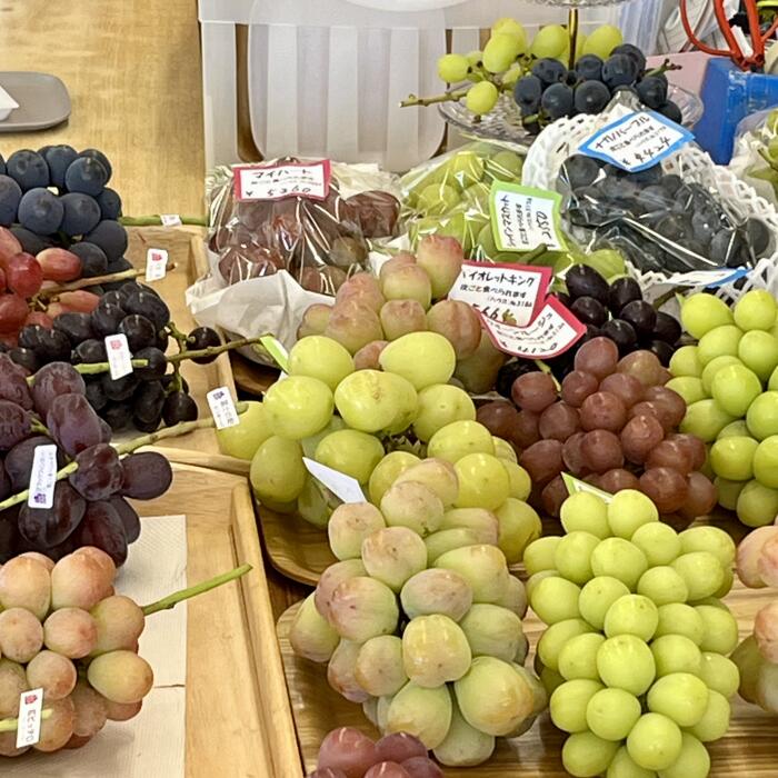 長野県塩尻市の画像3