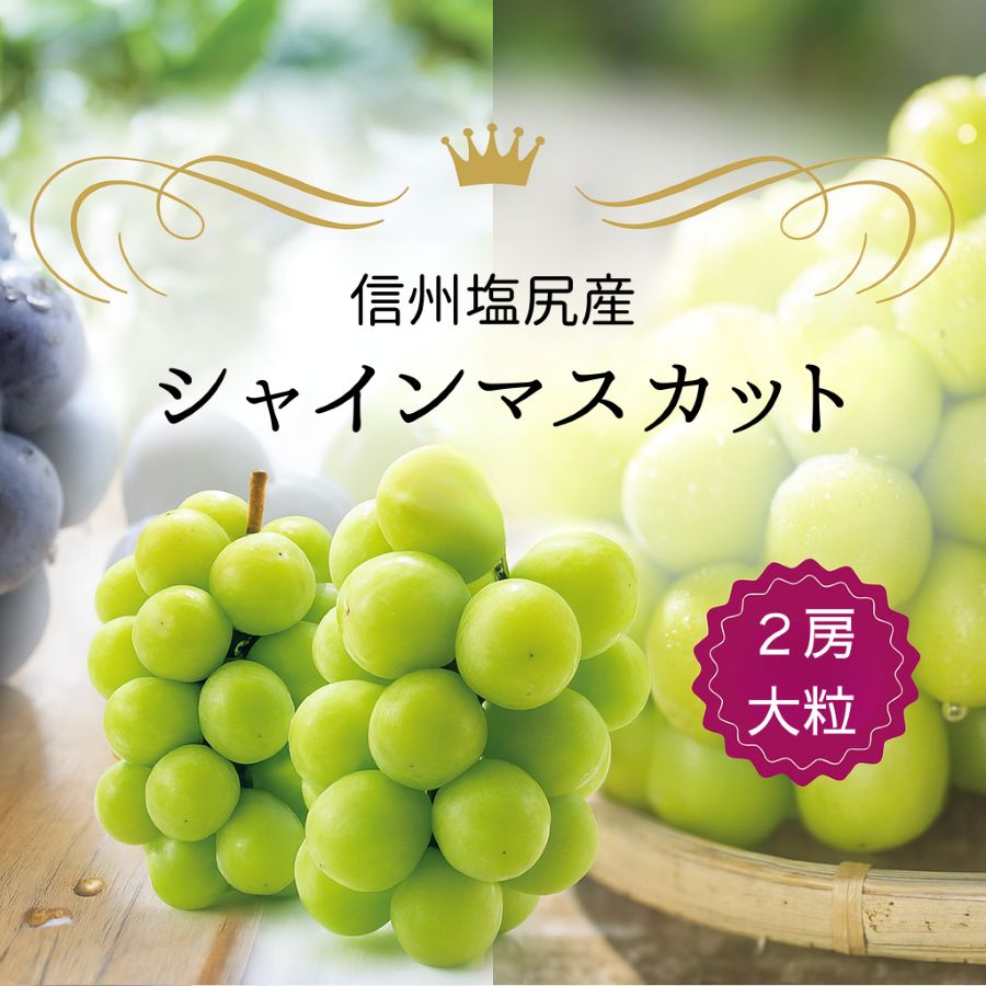 【ふるさと納税】シャインマスカット 2房 (約1.3kg）（9月下旬より発送予定） | シャイン ぶどう 葡萄 ブドウ くだもの 果物 フルーツ マスカット しゃいん ますかっと 先行 先行予約 長野県 塩尻市のサムネイル