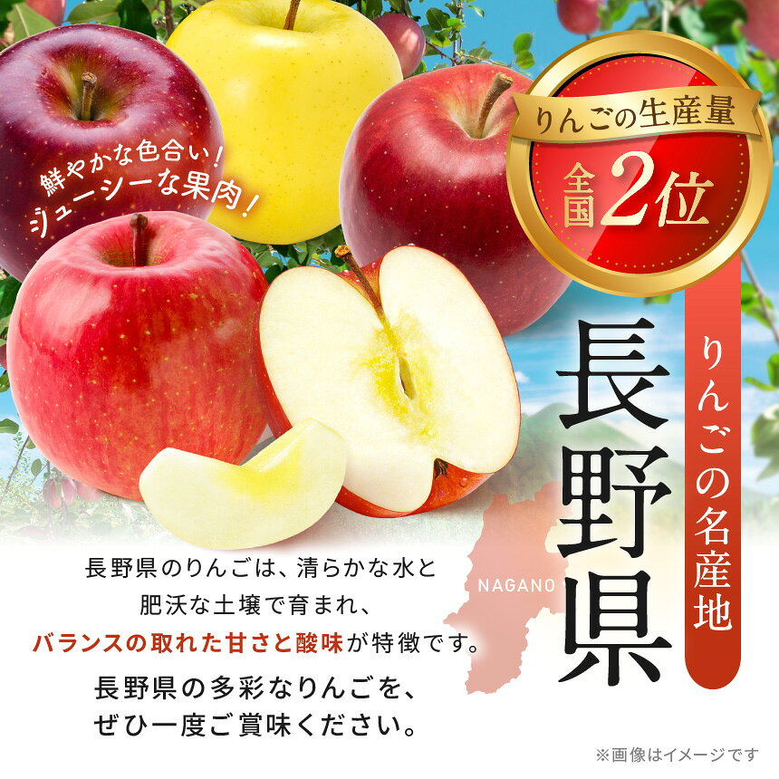 【ふるさと納税】【2026年先行予約】信州塩尻産 シナノゴールド 選べる内容量♪《 約1～5kg 》【10月末～4月にかけて順次発送予定】| 先行受付 果物 くだもの フルーツ シナノゴールド りんご 林檎 りんご3兄弟 信州 長野県 塩尻市