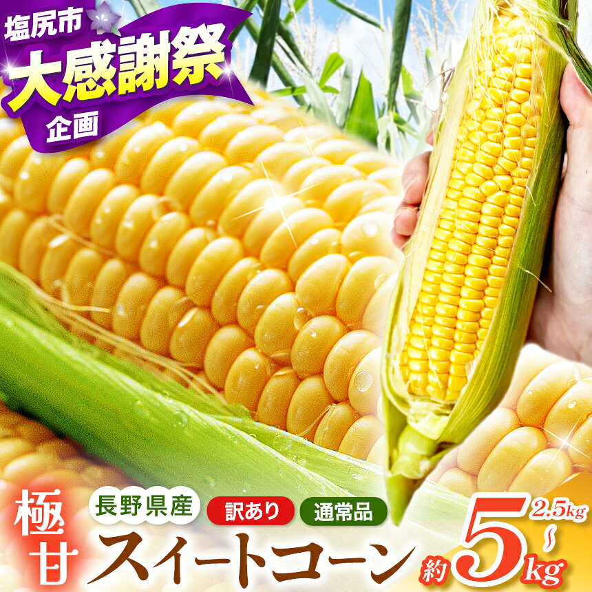 【ふるさと納税】【先行予約】 まるでフルーツ♪ 極甘スイートコーン ≪ 選べる サイズ 内容量 訳あり ≫ 高原野菜の名産地 信州しおじり洗馬産【7月末～7月中旬ころ出荷予定】｜野菜 とうもろこし トウモロコシ スイートコーン イエロー種 訳あり 洗馬 朝採り 長野県 塩尻市