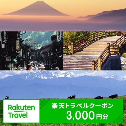 長野県塩尻市の対象施設で使える楽天トラベルクーポン 寄附額10,000円【旅行 宿泊 旅行券 宿泊券 ホテル 旅館　対象　施設　楽天　トラベル　クーポン　ABホテル　塩尻 長野県 塩尻市 】