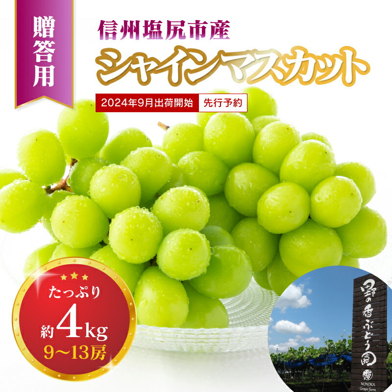 3位! 口コミ数「1件」評価「5」2024年発送　先行予約　【贈答用】シャインマスカット約4kg9～13房)＜出荷開始：2024年9月1日～9月27日＞【フルーツ　大人気　シ･･･ 