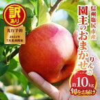 【ふるさと納税】2024年発送　先行予約　【訳あり】　園主のおまかせりんご　約10kg〈出荷時期：2024年7月20日出荷開始～2024年12月10日出荷終了〉【 りんご フルーツ 長野県 塩尻市 】