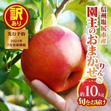 2024年発送　先行予約　【訳あり】　園主のおまかせりんご　約10kg〈出荷時期：2024年7月20日出荷開始～2024年12月10日出荷終了〉【 りんご フルーツ 長野県 塩尻市 】