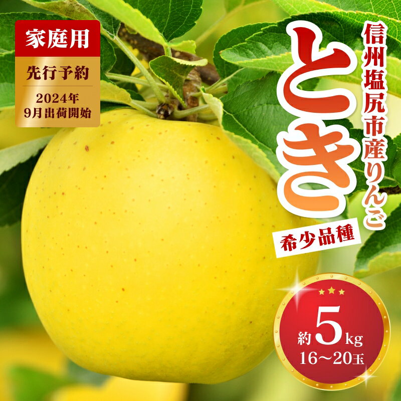 【ふるさと納税】2024年発送 先行予約 【家庭用】 りんご とき約5kg(16~20玉)〈出荷時期:2024年9月23日出荷開始~2024年10月20日出荷終了〉【 りんご フルーツ 長野県 塩尻市 】