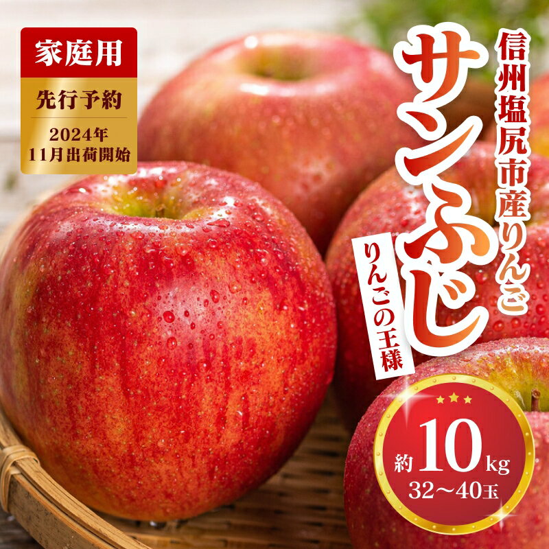 【ふるさと納税】2024年発送　先行予約　【家庭用】　りんご