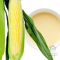 【ふるさと納税】シェフが恋した塩尻野菜のスープ【夏】