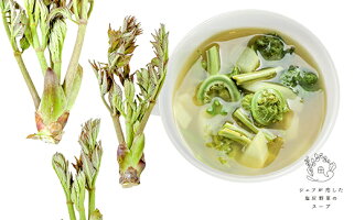 【ふるさと納税】シェフが恋した塩尻野菜のスープ【春】