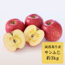 【ふるさと納税】サンふじ 約3kg (長野県認証 減農薬生産)　【果物・フルーツ・林檎・りんご】　お届け：2021年12月上旬〜12月下旬