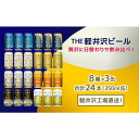 【ふるさと納税】飲み比べセット24缶THE軽井沢ビール　【お酒・ビール・酒・地ビ