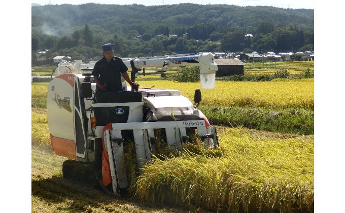 【ふるさと納税】 五郎兵衛さんのお米　餅米5kg＜出荷開始：2022年11月中旬以降順次配送＞【令和4年産 新米 予約 もち米 長野県 佐久市 】