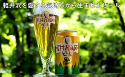 【ふるさと納税】【ふるさと納税 訳あり】軽井沢高原 ビール ワイルドフォレスト　【お酒・地ビール・ビール・軽井沢高原ビール・クラフトビール・訳あり】 画像2