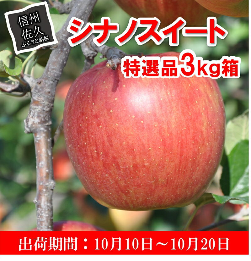 【ふるさと納税】 リンゴ　シナノスイート　特選品3kg箱　＜出荷期間：2023年10月10日～10月20日＞【中生種人気No,1　シャキシャキとした果肉　甘くジューシー　8～12玉 長野県 佐久市 】のサムネイル