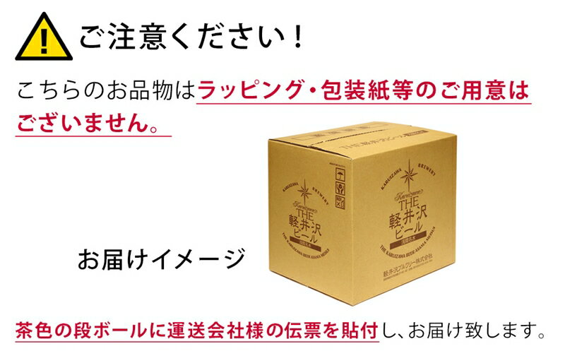 【ふるさと納税】 THE軽井沢ビール 10種2...の紹介画像2