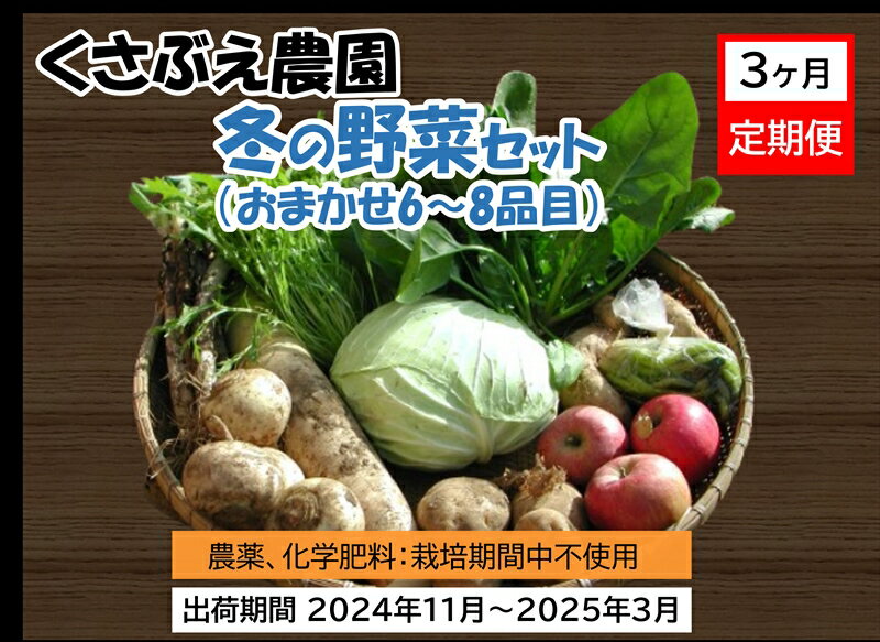 　くさぶえ農園　冬の野菜セット（おまかせ6～8品目）　高原野菜　無農薬　簡単レシピ〈2024年11月1日出荷開始～2025年3月31日出荷終了〉