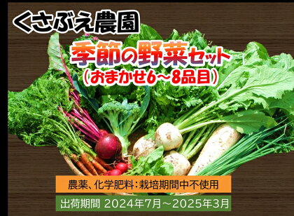 くさぶえ農園　季節の野菜セット（おまかせ6～8品目）　高原野菜　無農薬　新鮮　旬　簡単レシピ〈2024年7月1日出荷開始～2025年3月31日出荷終了〉【有機野菜 有機栽培　くさぶえ農園　農薬や化学肥料を使用せず 長野県 佐久市 】