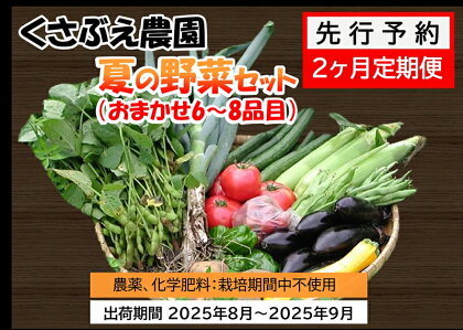 【先行予約　2ヶ月定期便】　くさぶえ農園　夏の野菜セット（おまかせ6～8品目） 高原野菜　無農薬〈2025年8月1日出荷開始～2025年9月30日出荷終了〉【有機野菜 有機栽培　くさぶえ農園　農薬や化学肥料を使用せず 長野県 佐久市 】