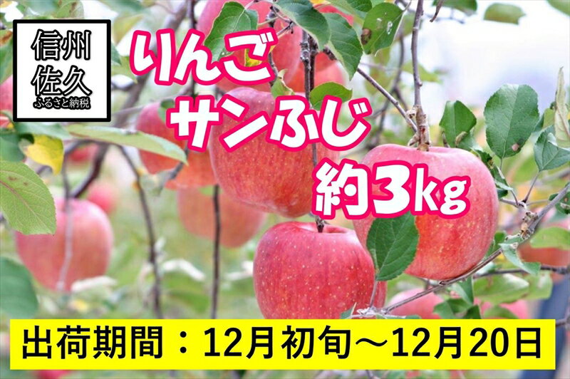 【ふるさと納税】りんご　サンふじ　大玉7～12個　約3kg　長野県佐久市産　（沖縄、離島への発送不可）..