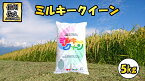 【ふるさと納税】 長野県佐久市産　ミルキークイーン　5kg　白米　モチモチ　お弁当　粘り〈出荷時期:2023年10月中旬以降～〉【海抜700m　佐久地方　秩父山系と八ヶ岳を源泉 長野県 佐久市 】