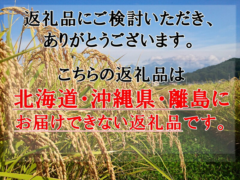 【ふるさと納税】 長野県佐久市産　ミルキークイーン　10kg（5kg×2袋）　白米　モチモチ　お弁当　粘り〈出荷時期:2023年10月中旬以降～〉【海抜700m　佐久地方　秩父山系と八ヶ岳を源泉 長野県 佐久市 】