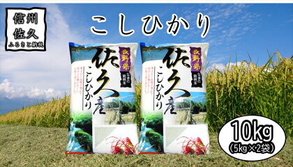 長野県佐久市産　こしひかり　10kg（5kg×2袋）　白米　つや　粘り　食感　甘み　香り〈出荷時期:2023年10月中旬以降～〉【海抜700m　佐久地方　秩父山系　八ヶ岳　千曲川　湯川の清冽な水 長野県 佐久市 】