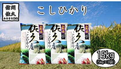 長野県佐久市産　こしひかり　15kg（5kg×3袋）　白米　つや　粘り　食感　甘み　香り〈出荷時期:2023年10月中旬以降～〉【海抜700m　佐久地方　秩父山系　八ヶ岳　千曲川　湯川の清冽な水 長野県 佐久市 】