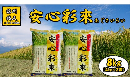 長野県佐久市産　安心彩來　8kg（4kg×2袋）　白米　黄金比率　ブレンド米　食感　香り　旨み　お弁当〈出荷時期:2023年10月中旬以降～〉【海抜700m　佐久地方 長野県 佐久市 】