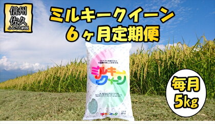 【6ヶ月定期便】長野県佐久市産　ミルキークイーン　5kg×6ヶ月　白米　モチモチ　お弁当　粘り〈出荷時期:2023年10月中旬以降～〉【海抜700m　佐久地方 長野県 佐久市 】