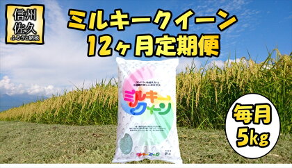 【12ヶ月定期便】長野県佐久市産　ミルキークイーン　5kg×12ヶ月 白米　モチモチ　お弁当　粘り〈出荷時期:2023年10月中旬以降～〉【海抜700m　佐久地方 長野県 佐久市 】