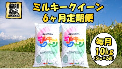 【6ヶ月定期便】長野県佐久市産　ミルキークイーン　10kg（5kg×2袋）×6ヶ月 白米　モチモチ　お弁当　粘り〈出荷時期:2023年10月中旬以降～〉【海抜700m　佐久地方 長野県 佐久市 】