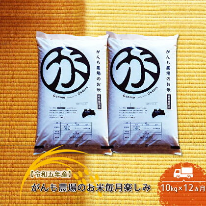 【令和五年産】定期便 がんも農場のお米毎月楽しみ（白米） 10kg×12ヵ月【出荷開始：2023年10月～】【がんも農場　お米　粘り気が強く、甘みがあります 長野県 佐久市 】