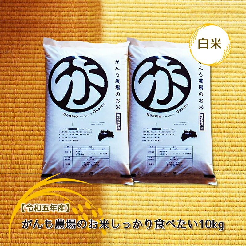 [令和五年産]がんも農場のお米しっかり食べたい10kg(白米)[出荷開始:2023年10月〜][粘り気が強く甘みがあります がんも農場 お米 冷めても美味しい 長野県 佐久市 ]