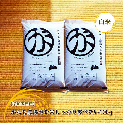 【令和五年産】がんも農場のお米しっかり食べたい10kg（白米）【出荷開始：2023年10月～】【粘り気が強く甘みがあります　がんも農場　お米　冷めても美味しい 長野県 佐久市 】