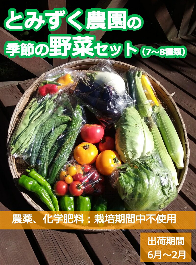 とみずく農園の季節の野菜セット[出荷時期:2024年6月17日以降出荷開始〜2025年2月28日出荷終了]無農薬 高原野菜 旬 新鮮 詰合せ[標高800〜1000m 長野県 佐久市 ]