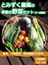 【ふるさと納税】とみずく農園の季節の野菜セット〈出荷時期:2024年6月17日以降出荷開始～2025年2月28日出荷終了〉無農薬 高原野菜　旬　新鮮　詰合せ【標高800～1000m 長野県 佐久市 】