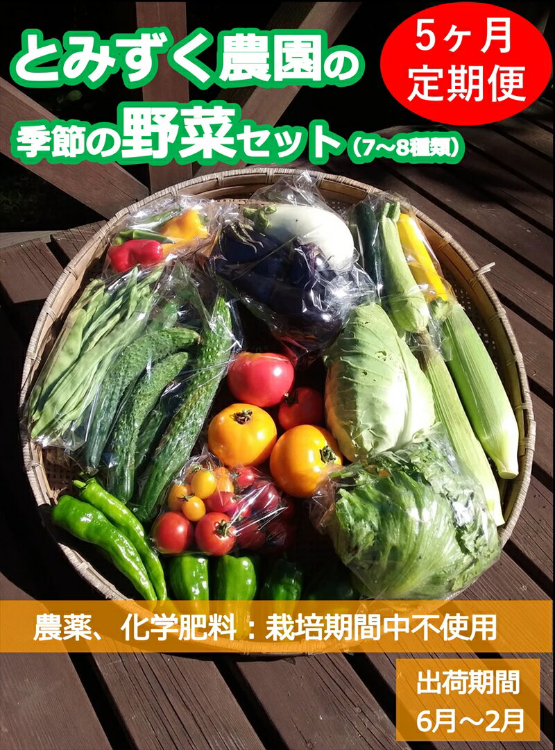 とみずく農園の季節の野菜セット　無農薬 高原野菜　旬　新鮮　詰合せ〈出荷時期:2024年6月17日以降出荷開始～2025年2月28日出荷終了〉