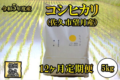 【12ヶ月定期便】佐久市望月のコシヒカリ 白米5kg　香り　さわやか　上品　ふるさとの味　透明感〈出荷時期:2023年10月1日以降～2024年9月30日出荷終了〉【 長野県 佐久市 】