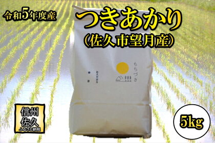 佐久市望月のつきあかり 白米5kg　大粒　食べ応え　うま味　もっちり　和食〈出荷時期:2023年10月1日以降～2024年9月30日出荷終了〉【大粒　美しさ　食べ応え 長野県 佐久市 】