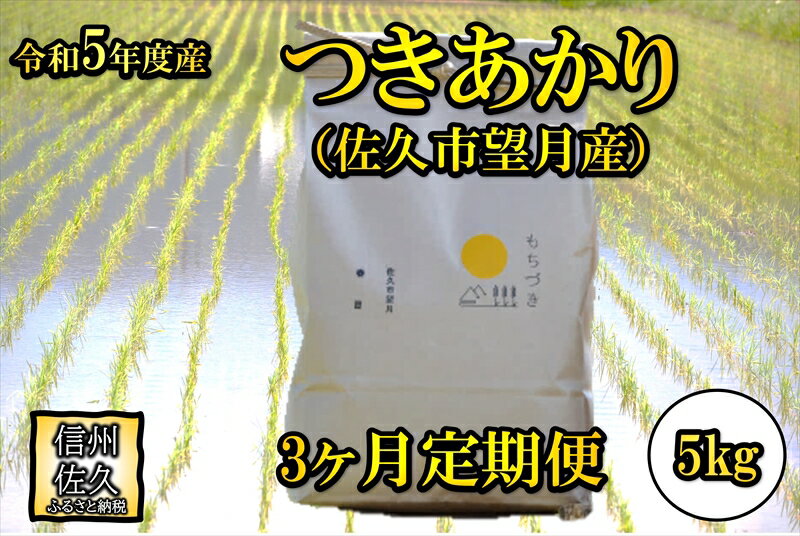 【ふるさと納税】【3ヶ月定期便】佐久市望月のつきあかり 白米5kg　大粒　食べ応え　うま味　もっちり　和食〈出荷時期:2023年10月1日以降～2024年9月30日出荷終了〉【 長野県 佐久市 】