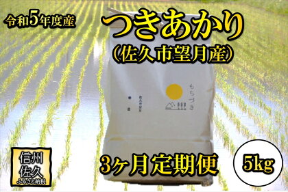 【3ヶ月定期便】佐久市望月のつきあかり 白米5kg　大粒　食べ応え　うま味　もっちり　和食〈出荷時期:2023年10月1日以降～2024年9月30日出荷終了〉【 長野県 佐久市 】