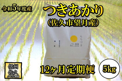 【12ヶ月定期便】佐久市望月のつきあかり 白米5kg　大粒　食べ応え　うま味　もっちり　和食〈出荷時期:2023年10月1日以降～2024年9月30日出荷終了〉【 長野県 佐久市 】