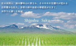 【ふるさと納税】JA佐久浅間管内産　令和4年度産　コシヒカリ＜出荷開始：2022年10月19日～2022年10月26日まで＞【 長野県 佐久市 】 画像2