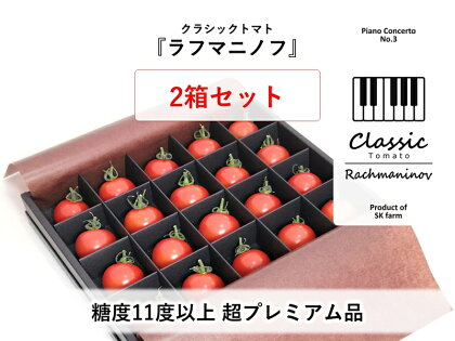 高糖度ミニトマト：クラシックトマト『ラフマニノフ』約300g箱 x 2箱〈出荷時期:2024年1月以降発送〉【糖度11度以上　超プレミアム品　最上級 長野県 佐久市 】