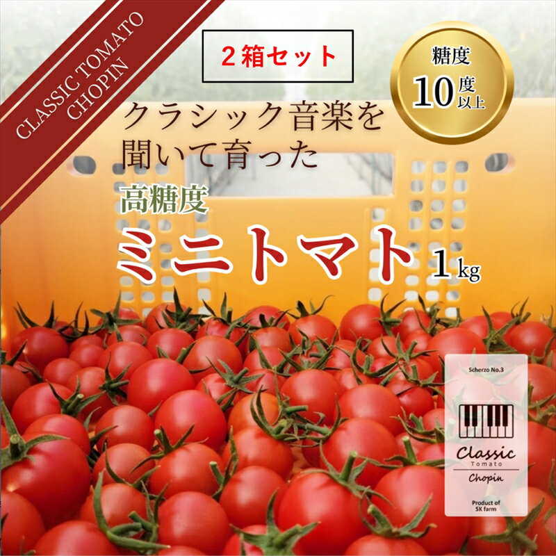 【ふるさと納税】 高糖度ミニトマト：クラシックトマト『ショパン』1kg箱 x 2箱〈出荷時期:2024年1月以降発送〉【糖度10度以上　『酸味とのバランス』　『口に広がる余韻』 長野県 佐久市 】